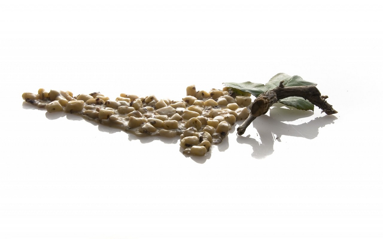 Gostilna pri Lojzetu - degustacijski meni